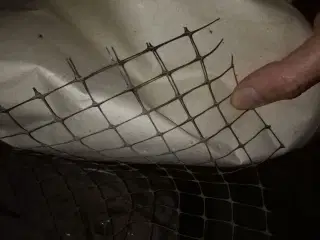 Fugle net