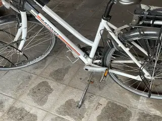 Betaus dame cykel med 24 g’er står som ny