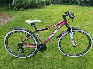 X-zite pigecykel 26" ,   21 udv.
