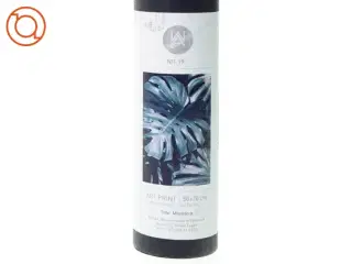 ny Plakat monstera fra Nordic Design (str. 50 x 70 cm)