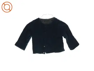 Cardigan (str. ca. 6-12 mdr.)