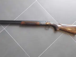 Blaser F16 Game