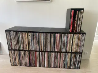 🎶 637 Vinylplader – Sælges (stor samling) 