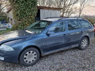 Billig skoda, med fejl