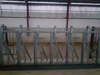 Brugte fangegitre til ungdyr