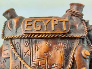 Sjov og dekrotiv Kamel fra Egypt