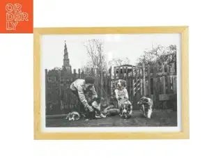 Indrammet sort-hvid fotografi fra Nielsen (str. 21x29,7 cm)