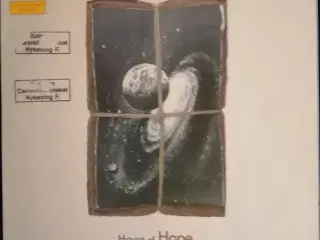 Toni Childs: House of Hope