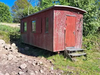 Skurvogn