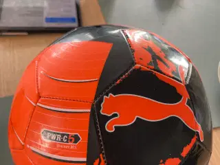 Puma str. 5