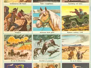 Cowboys. Fremads Puslebøger