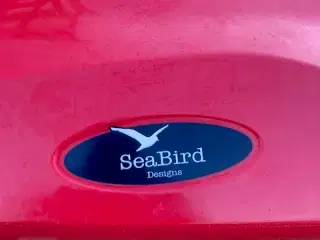 Havkajak Seabird Discovery