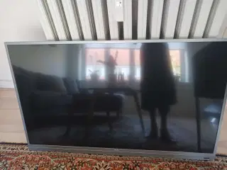 Philips tv 50 "