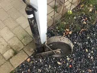 Støtteben