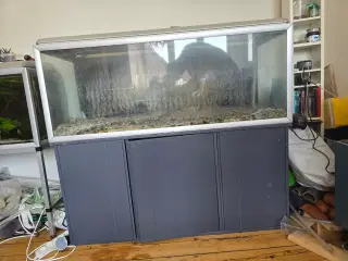 325 liters akvarie 