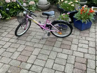 20” pigecykel 
