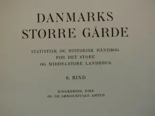 danmarks større gårde 6. bind - ringkøbing, ribe o