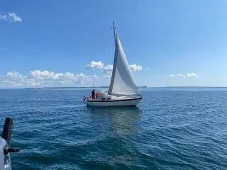 Polaris Drabant 26 