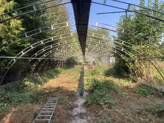 Tunnel drivhus 210 m2 sælges med spær og dør