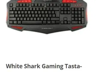 10 stk. Gaming tastaturer White Shark, Sort / Rød