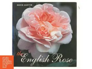 The English rose af David Austin