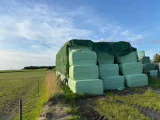 1.slæt tørt wraphø