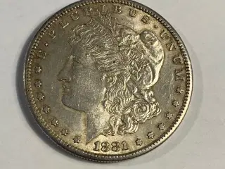 Morgan Dollar 1881 S USA