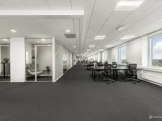 Kontorlejemål på 445 m²