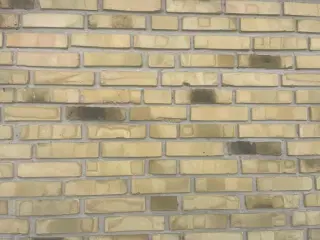 Mursten gule og brændte købes - ca. 15M2