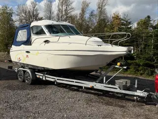 Lema gold 24 