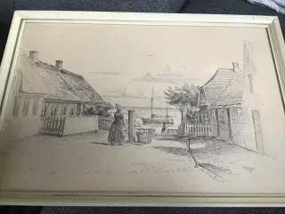 Kultegning lavet af Steenholt fra 1955