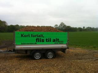 Træflis
