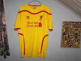 Liverpool FC  14-15  