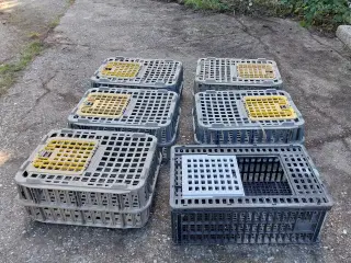  Transportkasser til dyr, høns, duer, kat