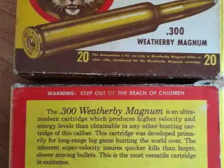 300 Weatherby magnum, Patroner