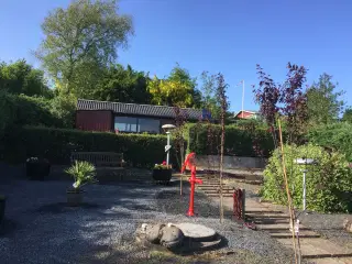 Kolonihave uden bopælspligt 
