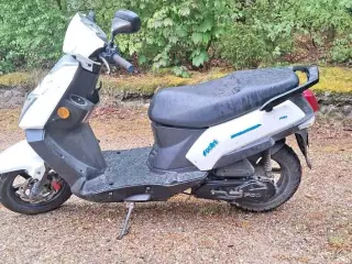 PGO Libra BF50 2012