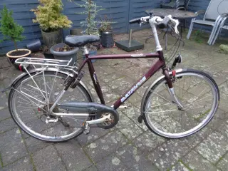Batavus