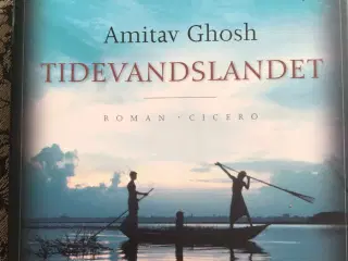 Amitav Ghosh : Tidevandslandet