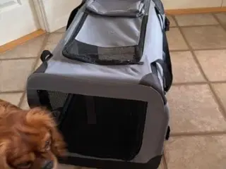 Hunde Transporttaske 