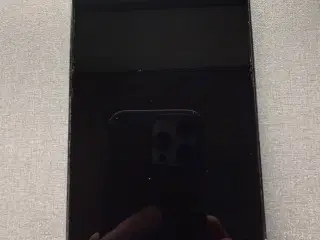 iPhone 13 Pro Max 256 