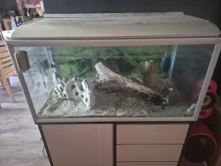 250 liters akvarie
