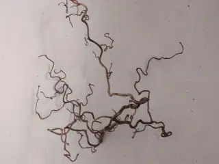 Troldegren