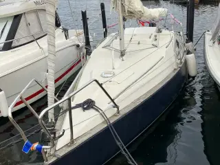 Solus 24, en rigtig hårdtvejs sejler. 