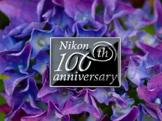 100th Jubilæumsnål 
