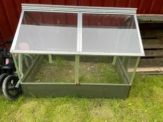 Mini drivhus