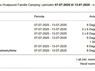 Ophold i mini hytte på Hvalpsund Familie Camping 