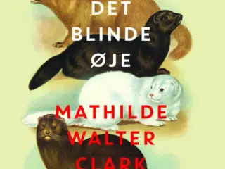 Det blinde øje, bog