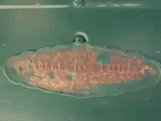 Petroleumsovn