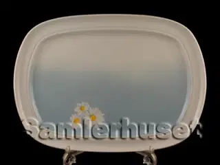 Marguerit Stegefad 35x25 cm.